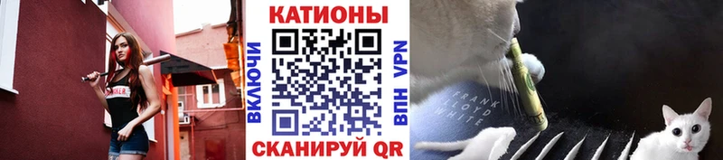 Где купить наркотики Заводоуковск Кокаин Героин Меф Alpha-PVP Вейп ТГК Гашиш Марихуана Галлюциногенные грибы