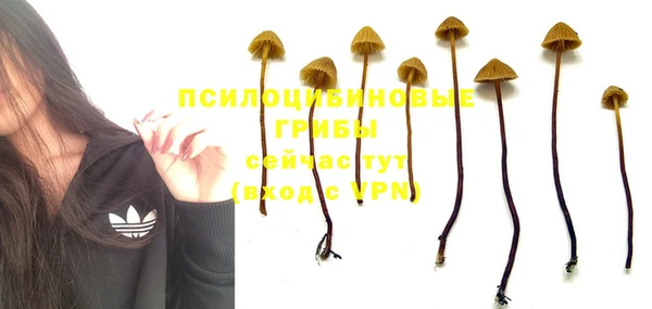 гидропоника Балахна