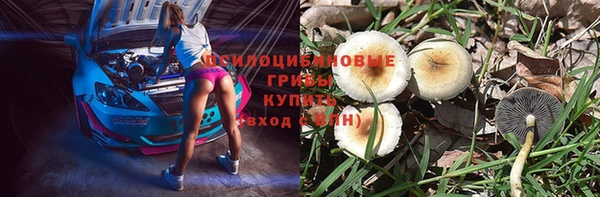 гидропоника Балахна
