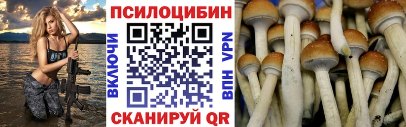 Псилоцибиновые грибы мицелий  как найти закладки  Заводоуковск 